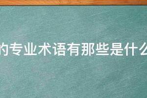 篮球训练动作专业术语大全集